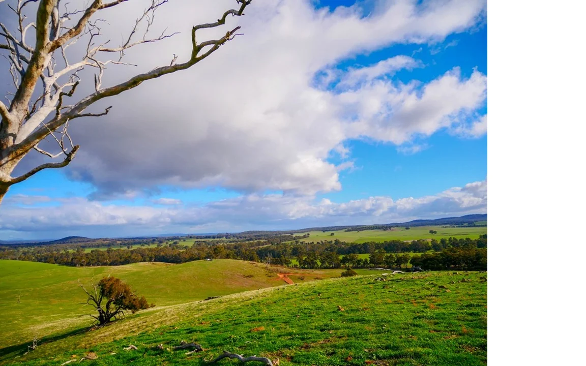 Additional image 7 of 78 Cherry Tree Road, Nagambie VIC 3608