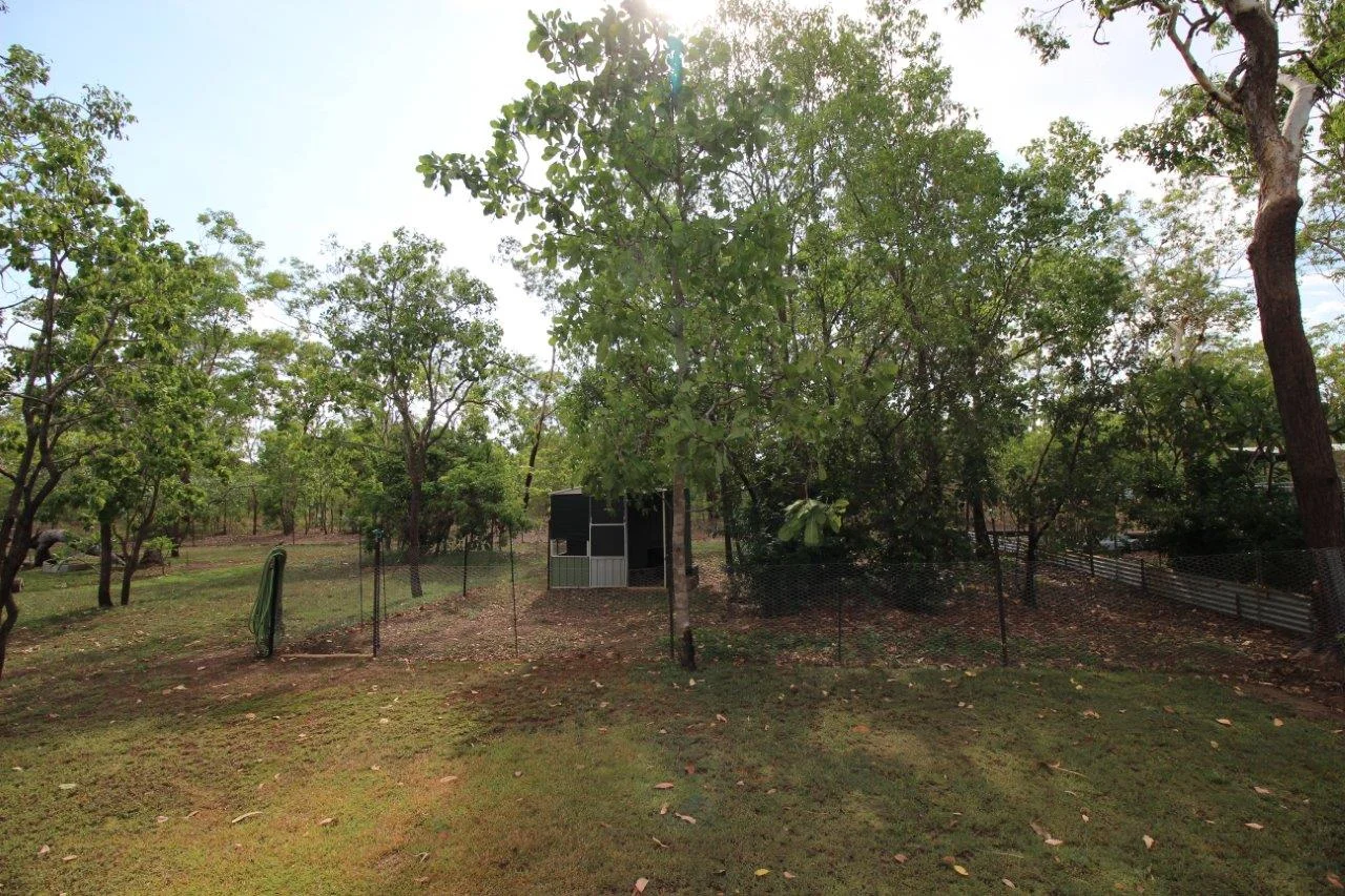 Additional image 42 of Lloyd Creek NT 0822