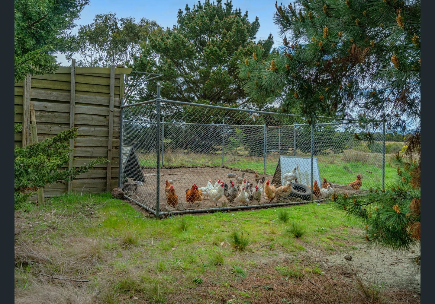 Additional image 5 of 141 Ingliston-Settlement Road, Ingliston VIC 3342