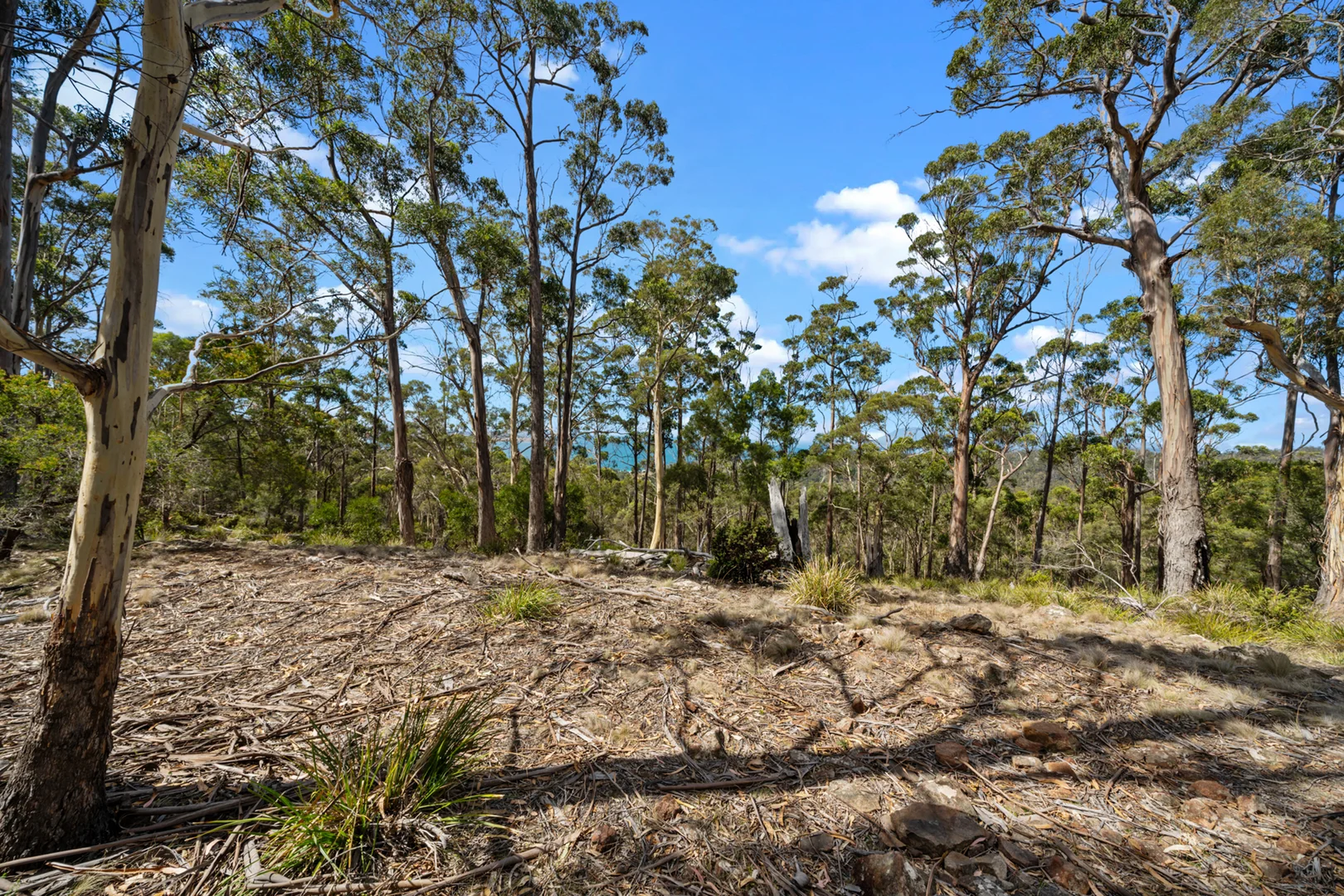 Additional image 26 of 108 Happy Valley Road, Spring Beach TAS 7190