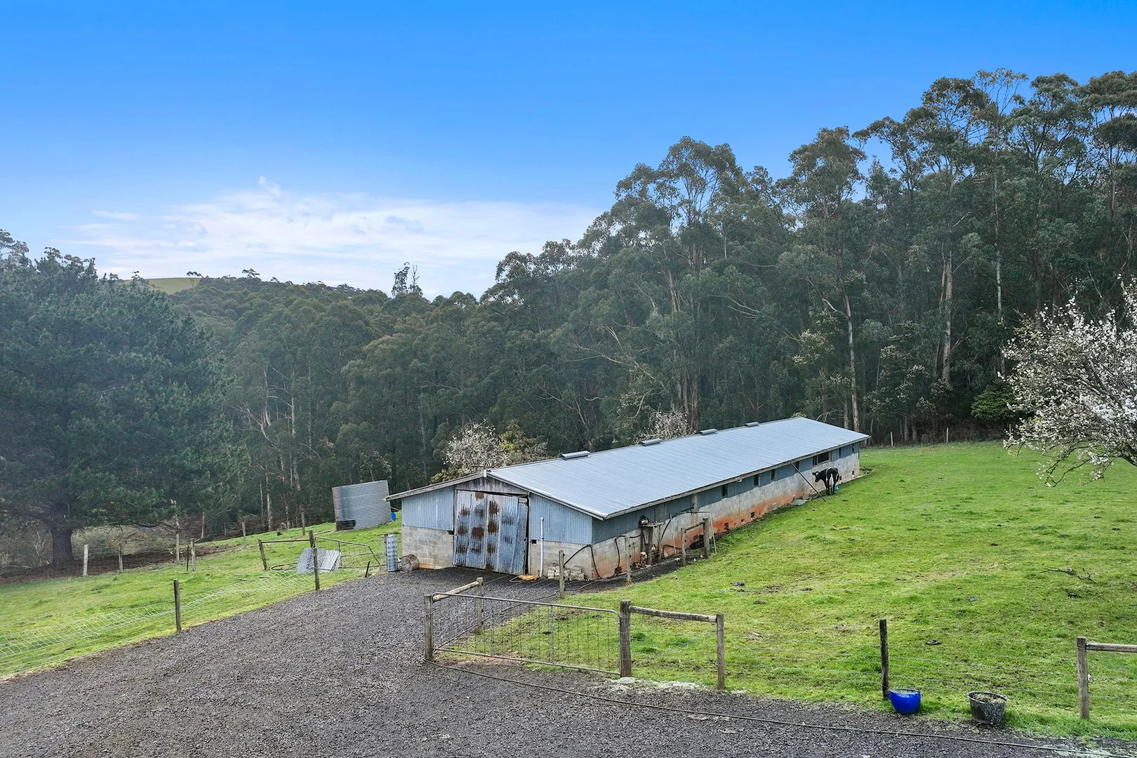 Additional image 10 of 2675 Willow Grove Road, Hill End VIC 3825