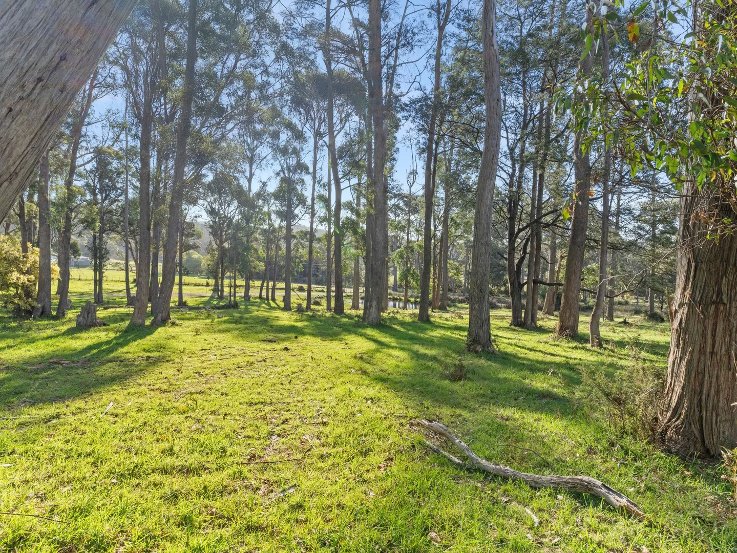 Additional image 5 of Lot 0 Goss Road, Railton TAS 7305