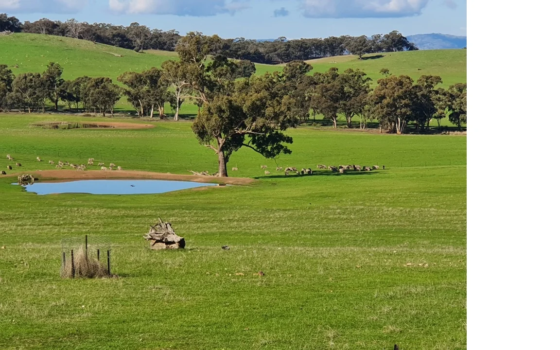 Additional image 3 of 78 Cherry Tree Road, Nagambie VIC 3608