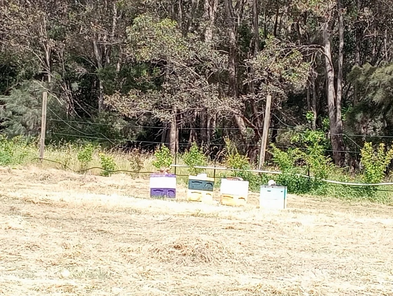 Additional image 10 of 6 Ellen Street, Brunswick WA 6224