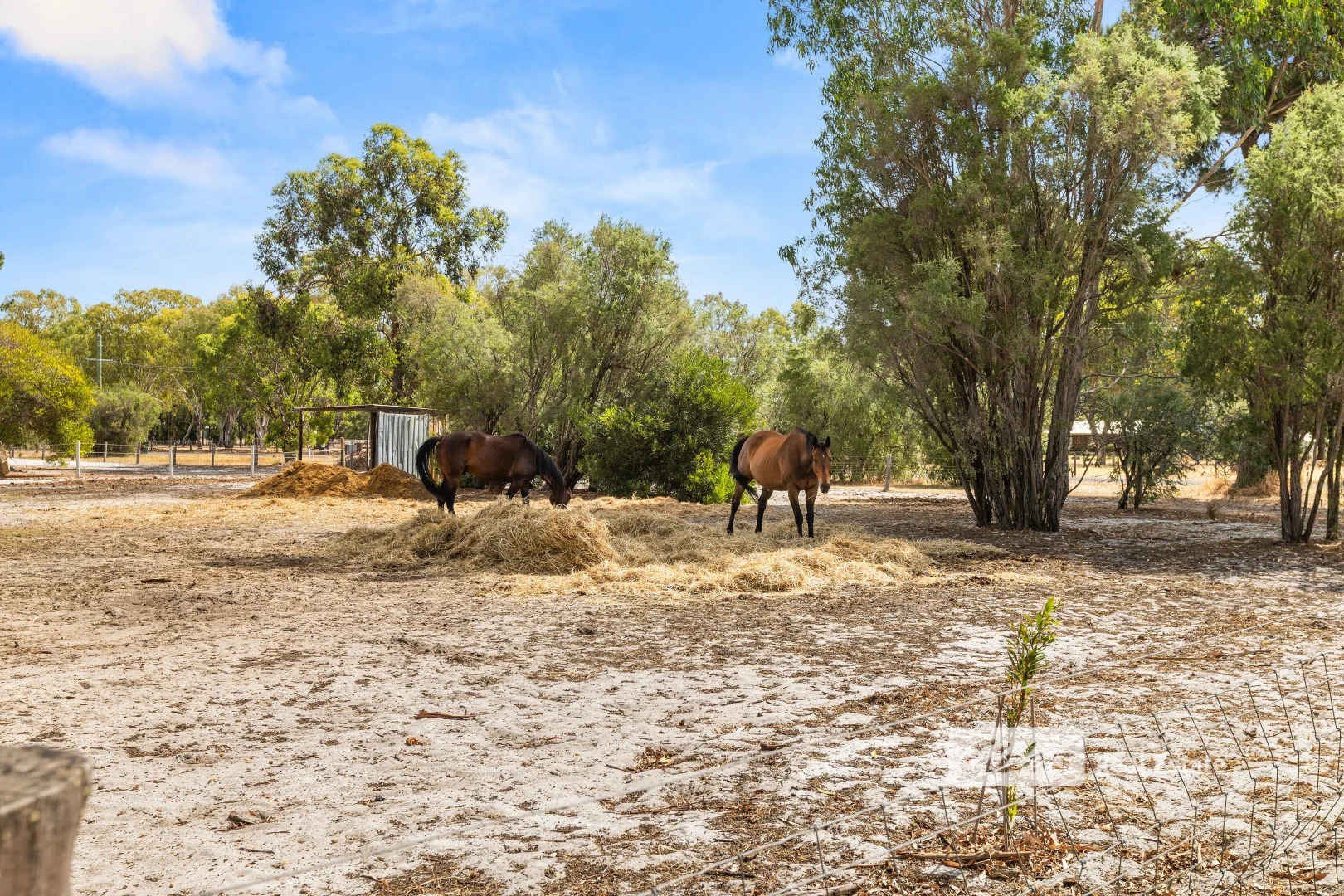 Additional image 26 of 21 Ryelands Drive, North Boyanup WA 6237