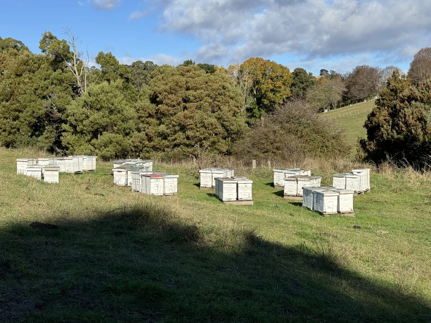 Additional image 26 of 98 Creamery Road, Sulphur Creek TAS 7316