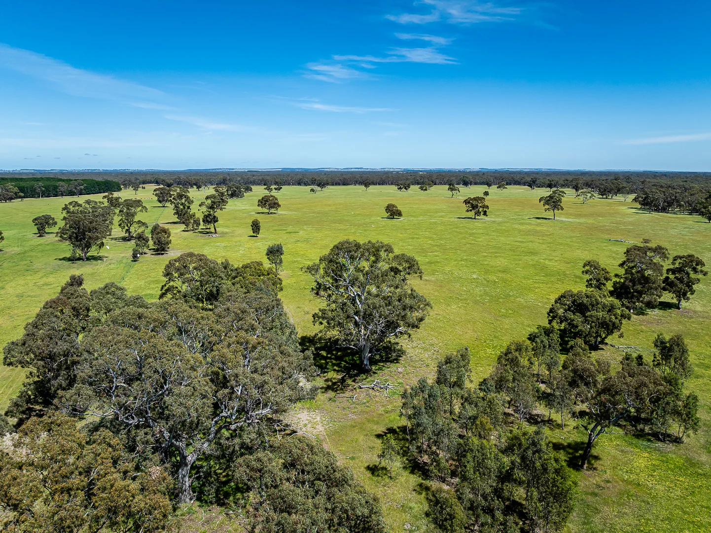 Additional image 3 of 520 Walkington Hills Road, Bangham SA 5268