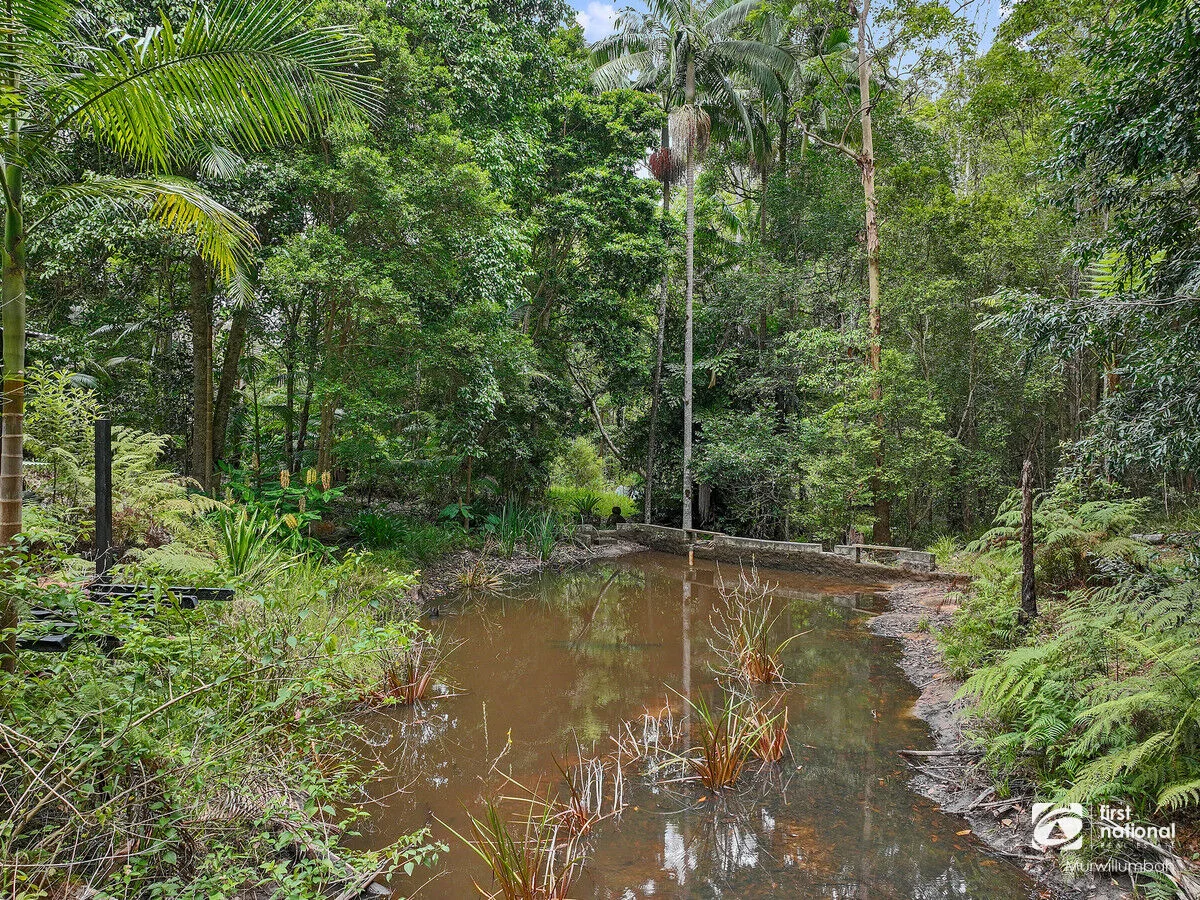 Additional image 15 of 563 Commissioners Creek Road, Commissioners Creek NSW 2484