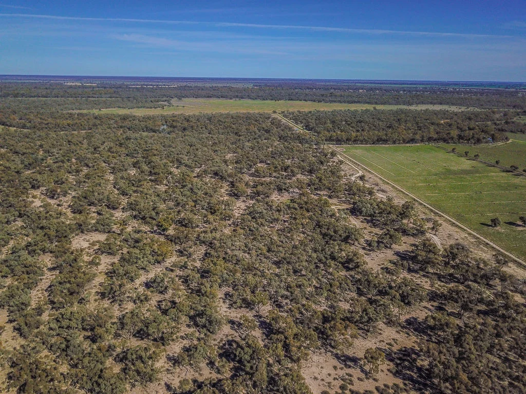 Additional image 32 of 'Wetuppa' 245 Fisher Lane, Wetuppa NSW 2734