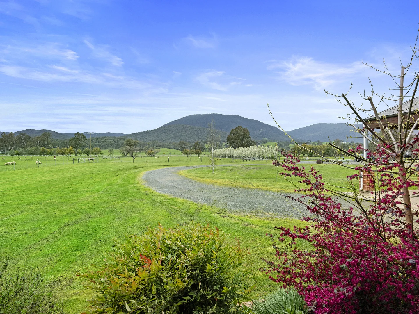 Additional image 31 of 290 Goulburn Valley Highway, Eildon VIC 3713