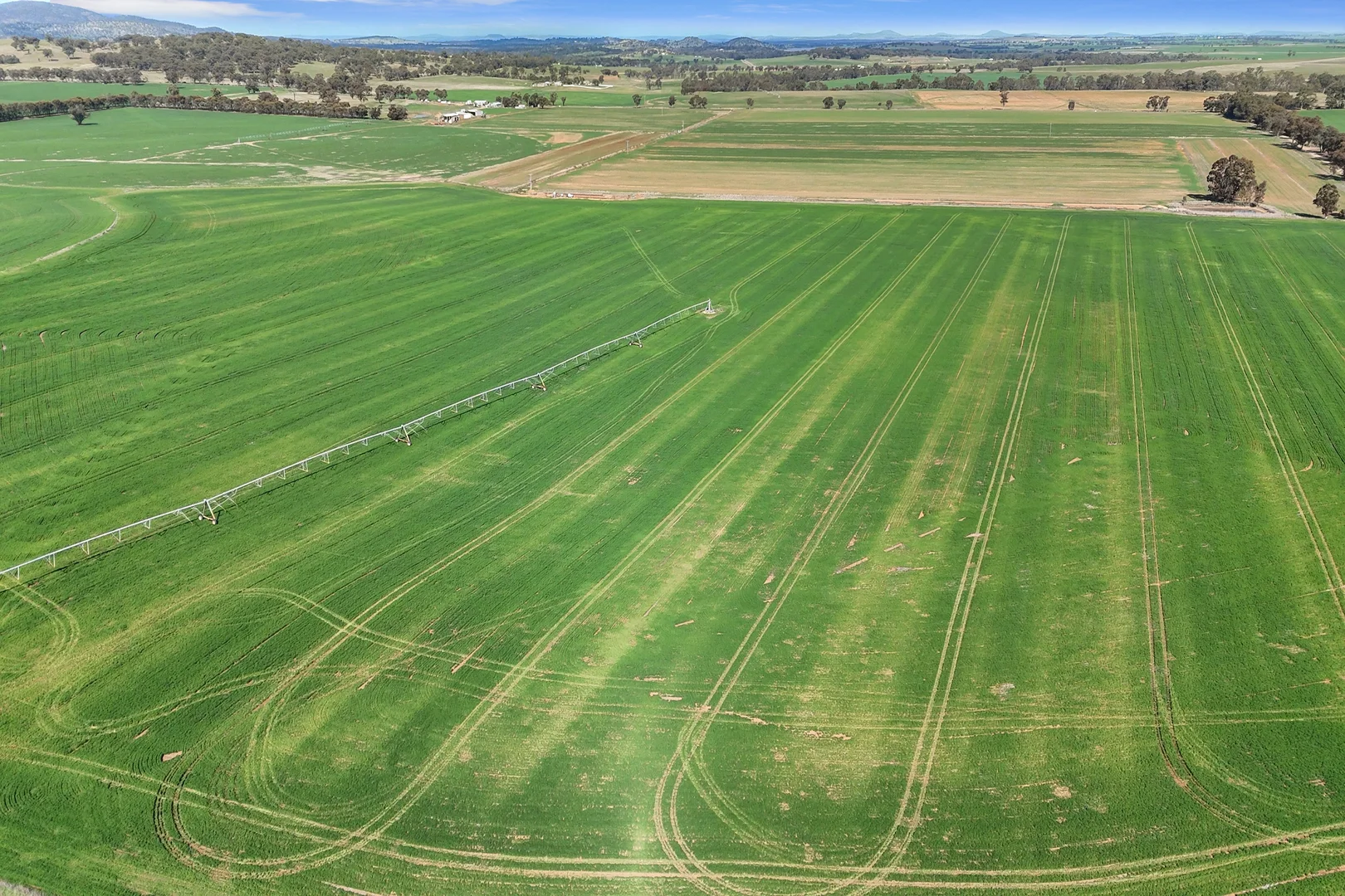 Additional image 8 of 1113 Baringhup-Eddington Road, Baringhup VIC 3463