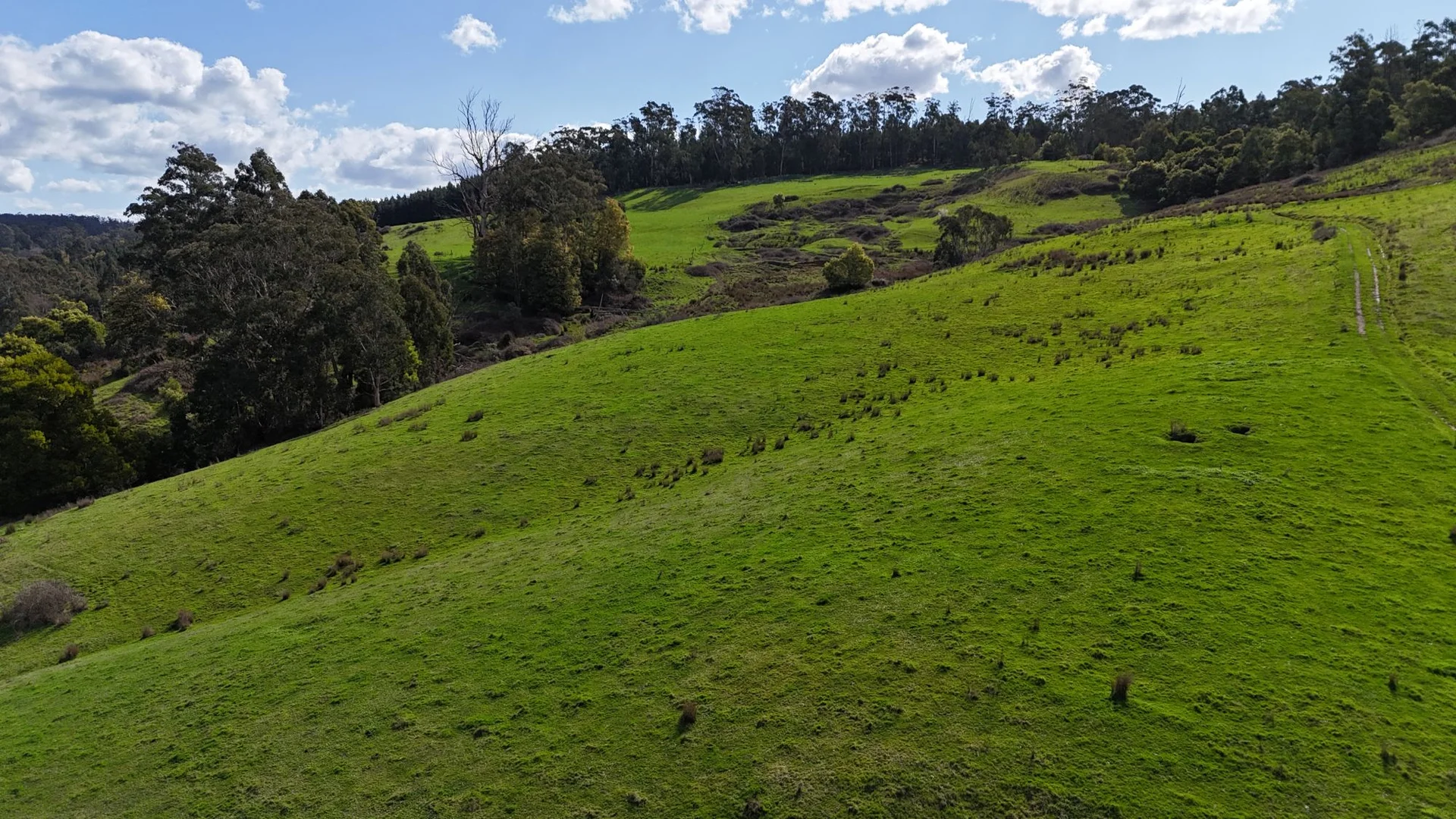 Additional image 21 of 141 BUNDERRA DRIVE, Boolarra VIC 3870