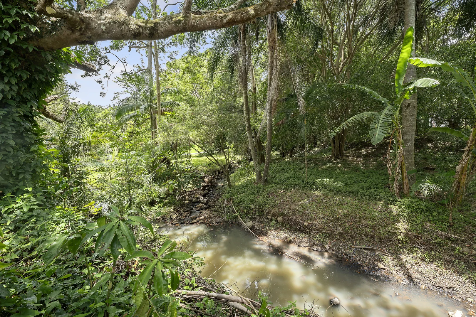 Additional image 15 of 908 Currumbin Creek Road, Currumbin Valley QLD 4223