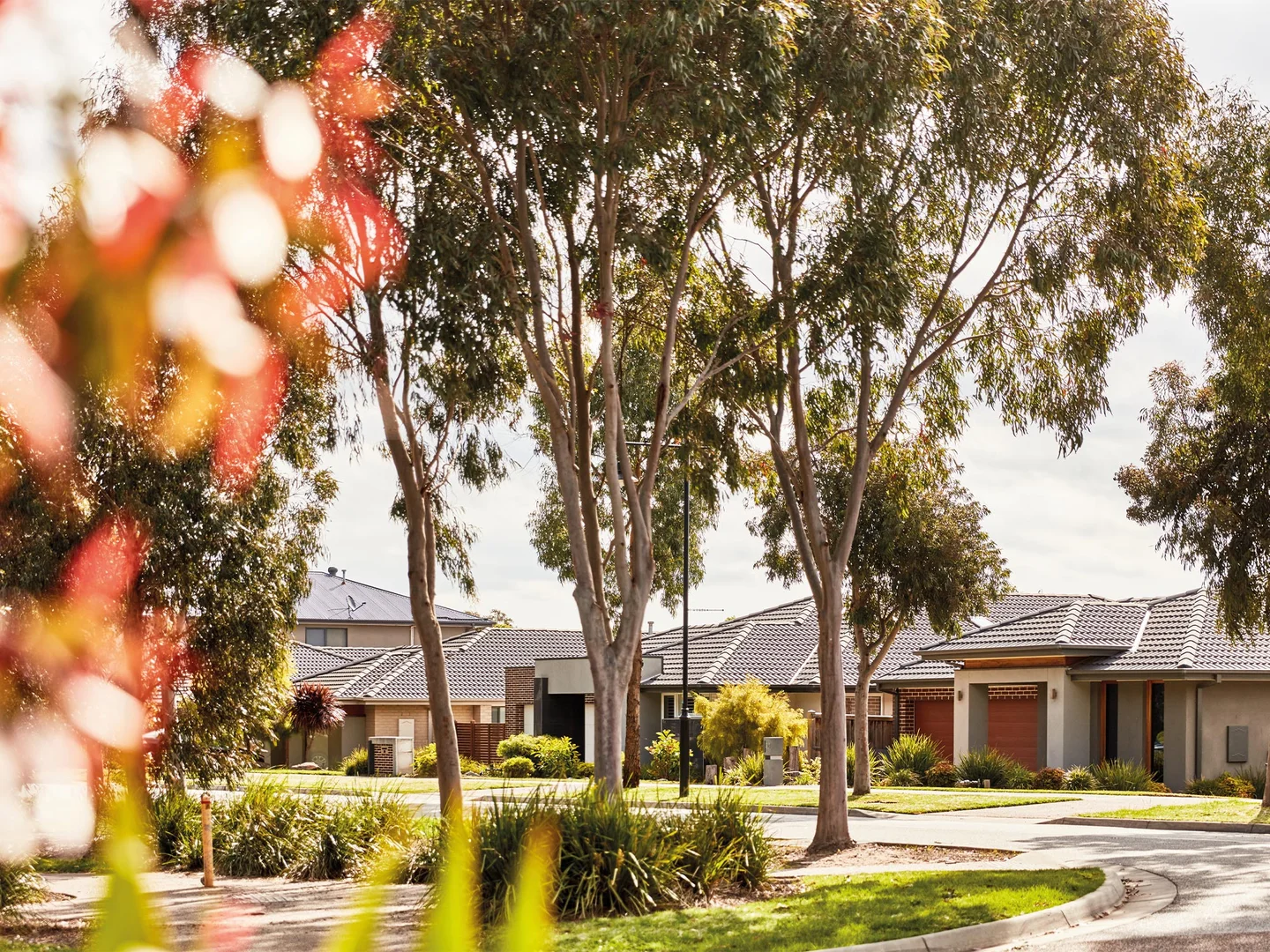 Additional image 6 of Lot 2548 Belcella Street, Botanic Ridge VIC 3977