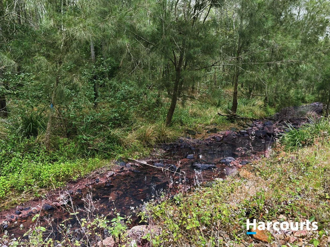 Additional image 16 of Lot 38 TENNINGERING ROAD, Good Night QLD 4671