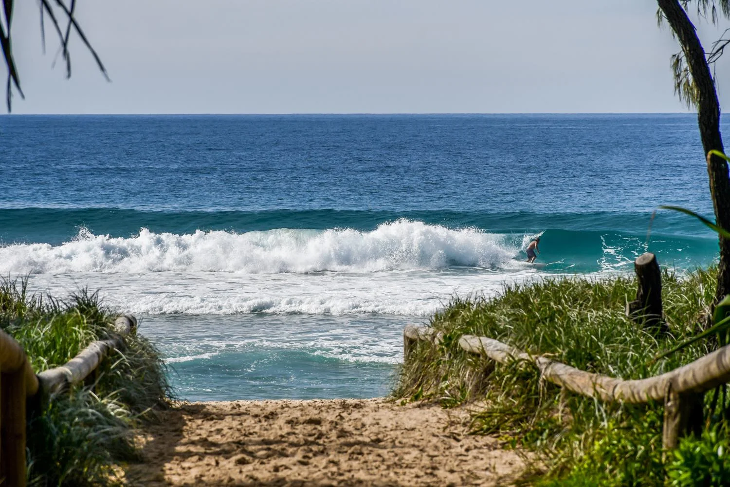 Additional image 47 of 7 Palkana Drive, Warana QLD 4575