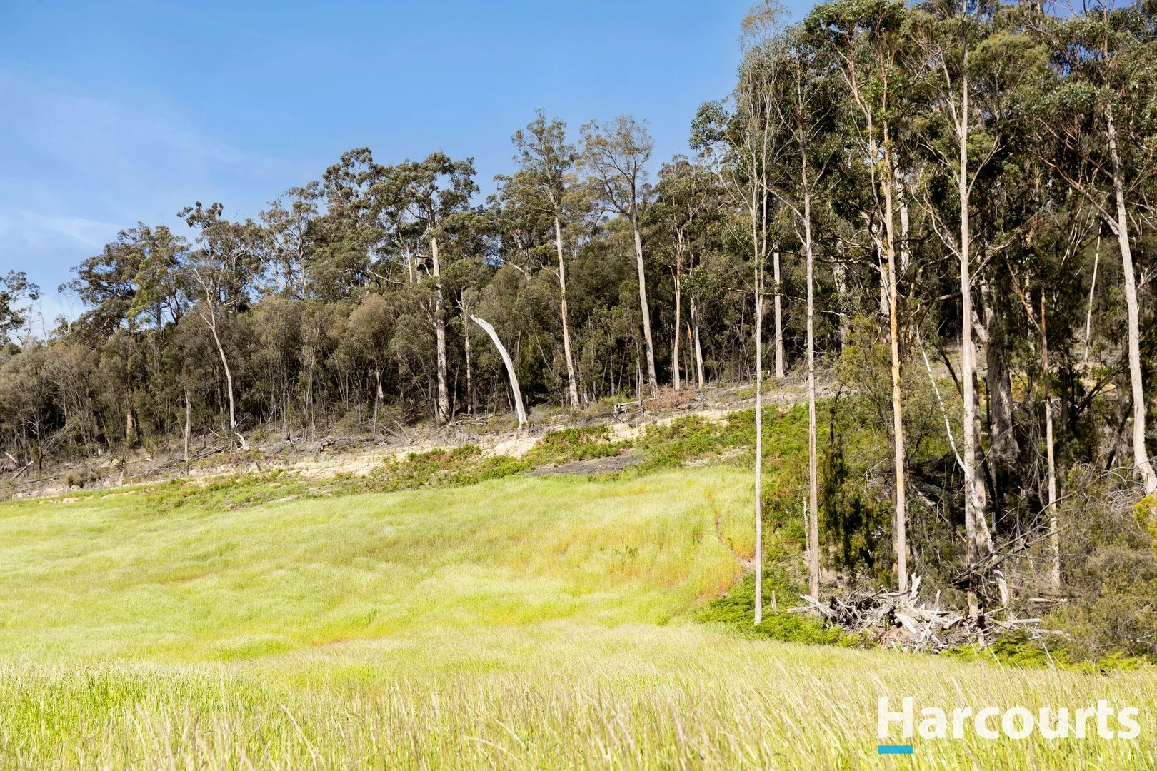 Additional image 7 of 420 Bradys Plain Road, Parkham TAS 7304