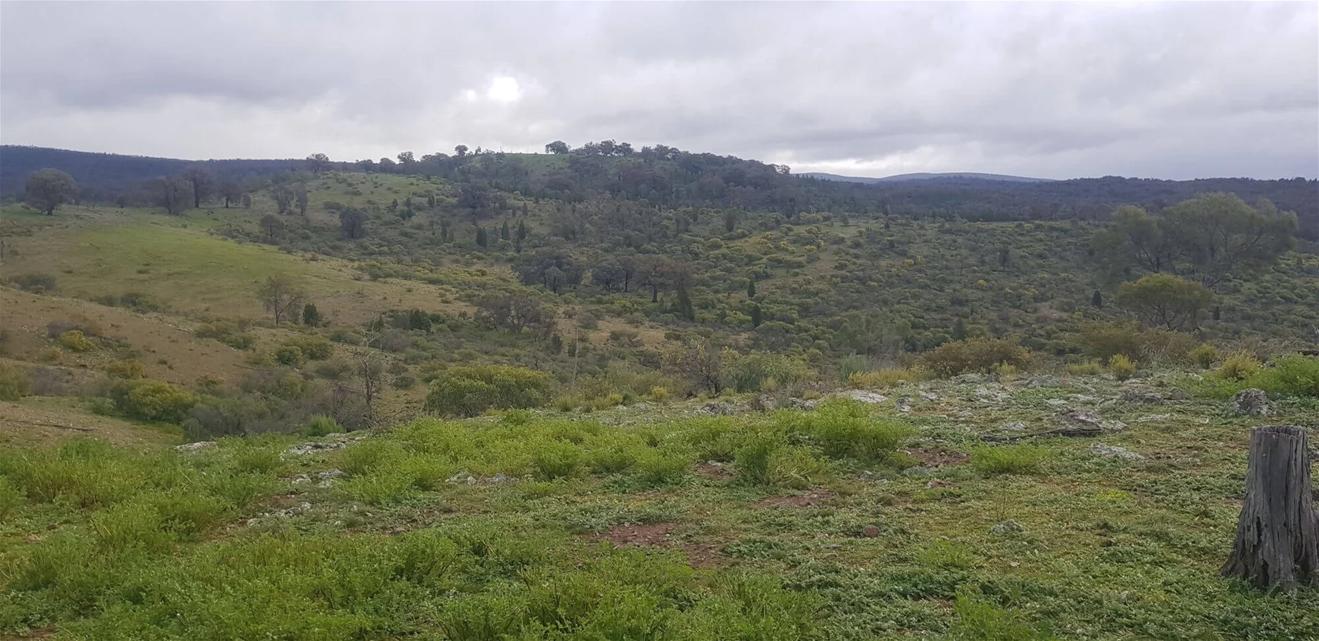 Additional image 4 of 655 Monaghans Rd, Manildra NSW 2865