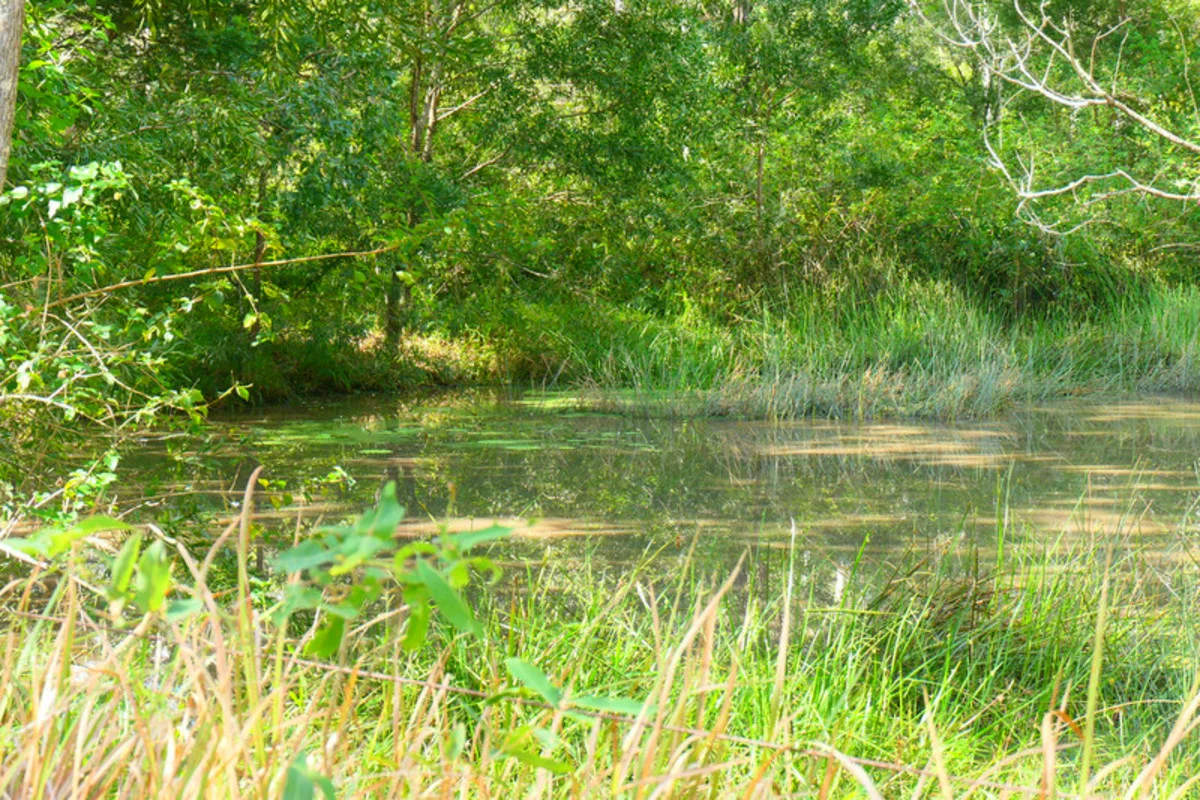 Additional image 7 of 146 Mills Road, Bean Creek NSW 2469