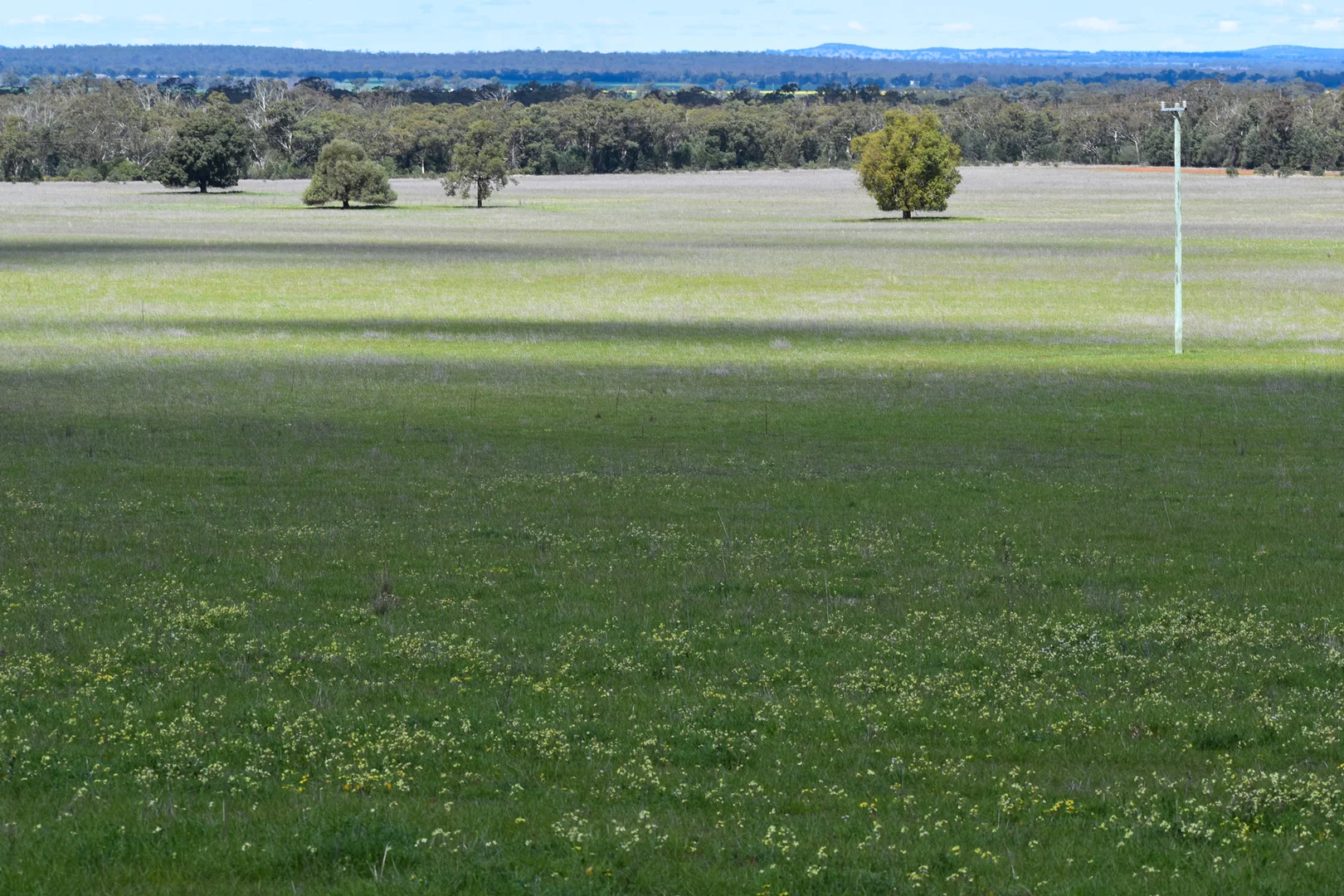 Additional image 6 of 120 Melrose Plains Road, Fifield NSW 2875