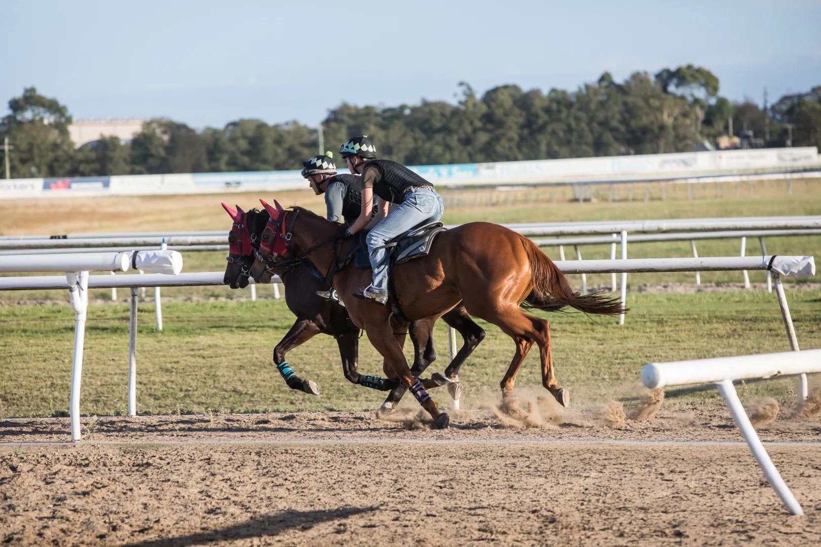 Additional image 23 of 131 Racecourse Road, Clarendon NSW 2756