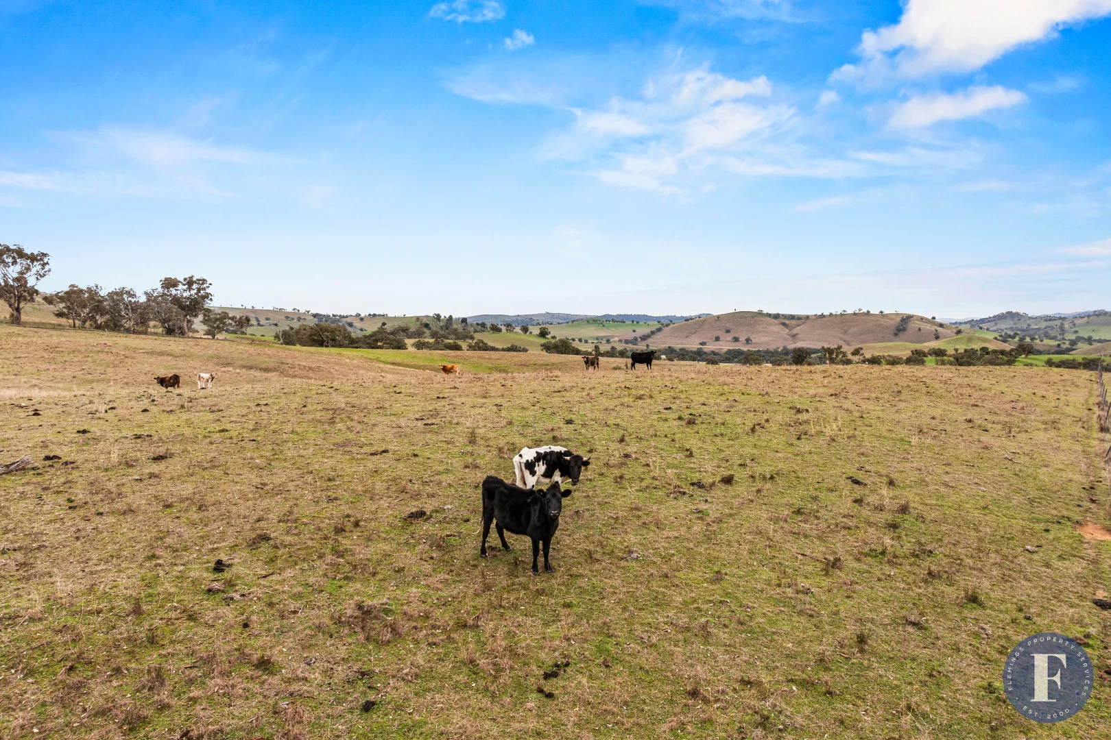 Additional image 5 of 458 Ironbark Lane, Frogmore NSW 2586