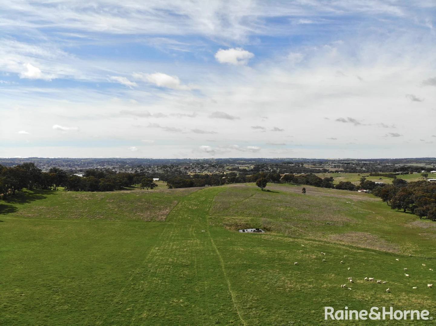 Additional image 8 of Lot 5, 6 & 8/at 59 & 60 Tiedemann Place, Young NSW 2594