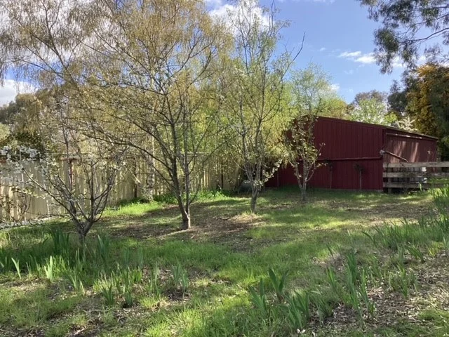 Additional image 28 of 226 Wilsons Road, Haddon VIC 3351