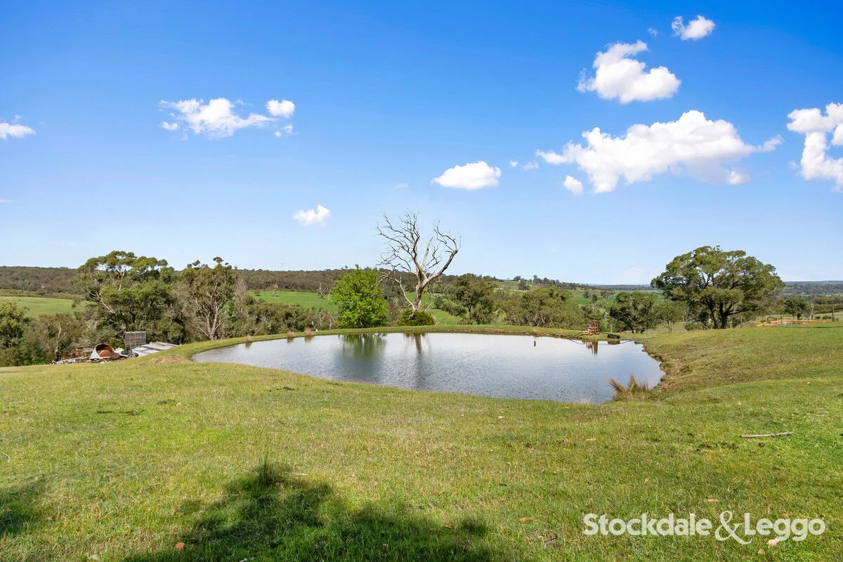 Additional image 30 of 175 Early Road, Tanjil South VIC 3825