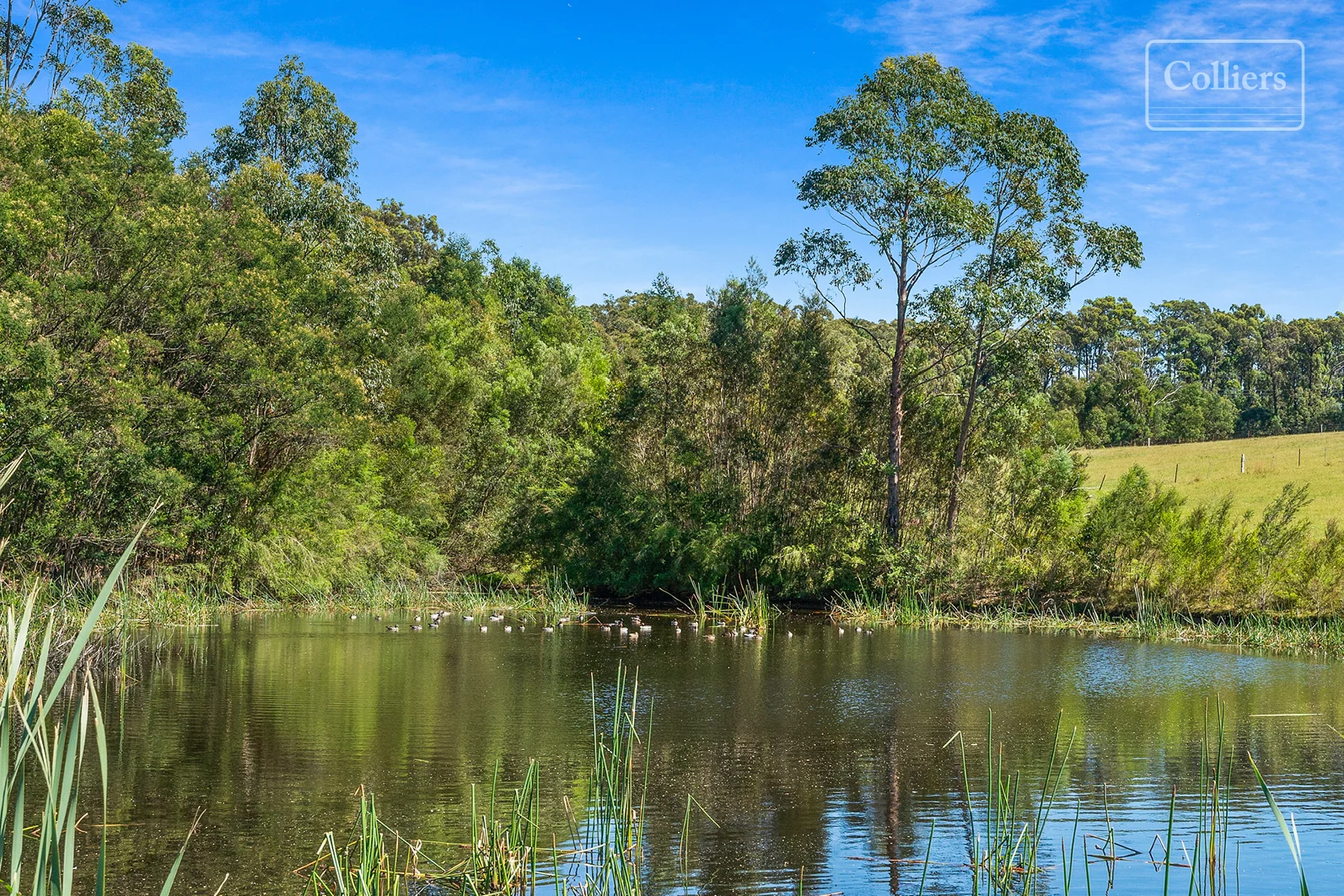 Additional image 7 of 227-229 Little Forest, Little Forest NSW 2538