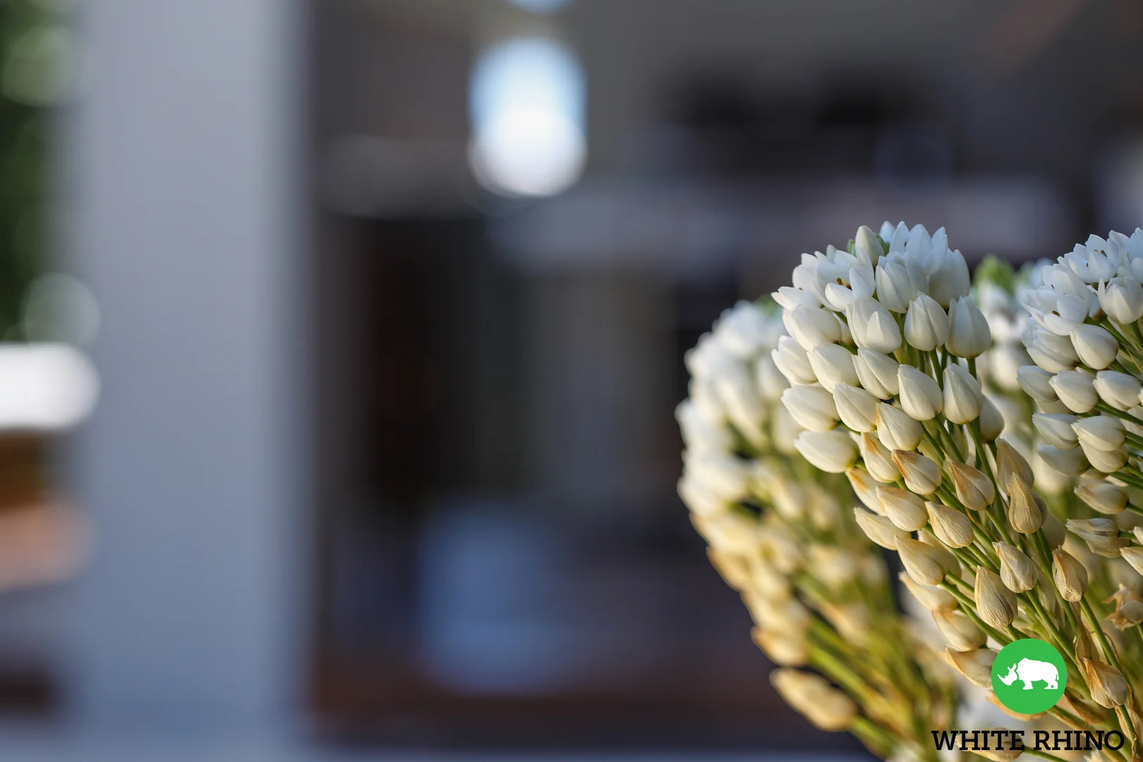 Additional image 37 of 12 Sarah Street, Googong NSW 2620