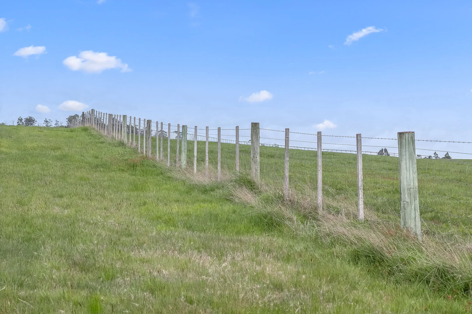 Additional image 10 of . Los Angelos Road, Swan Bay TAS 7252