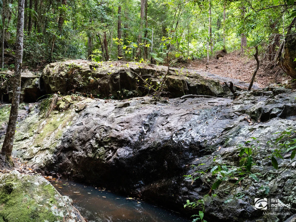 Additional image 20 of 563 Commissioners Creek Road, Commissioners Creek NSW 2484