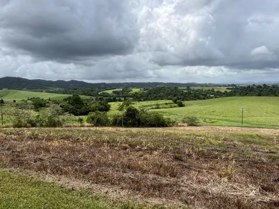 Additional image 28 of 125 Utchee Creek Road, Mena Creek QLD 4871