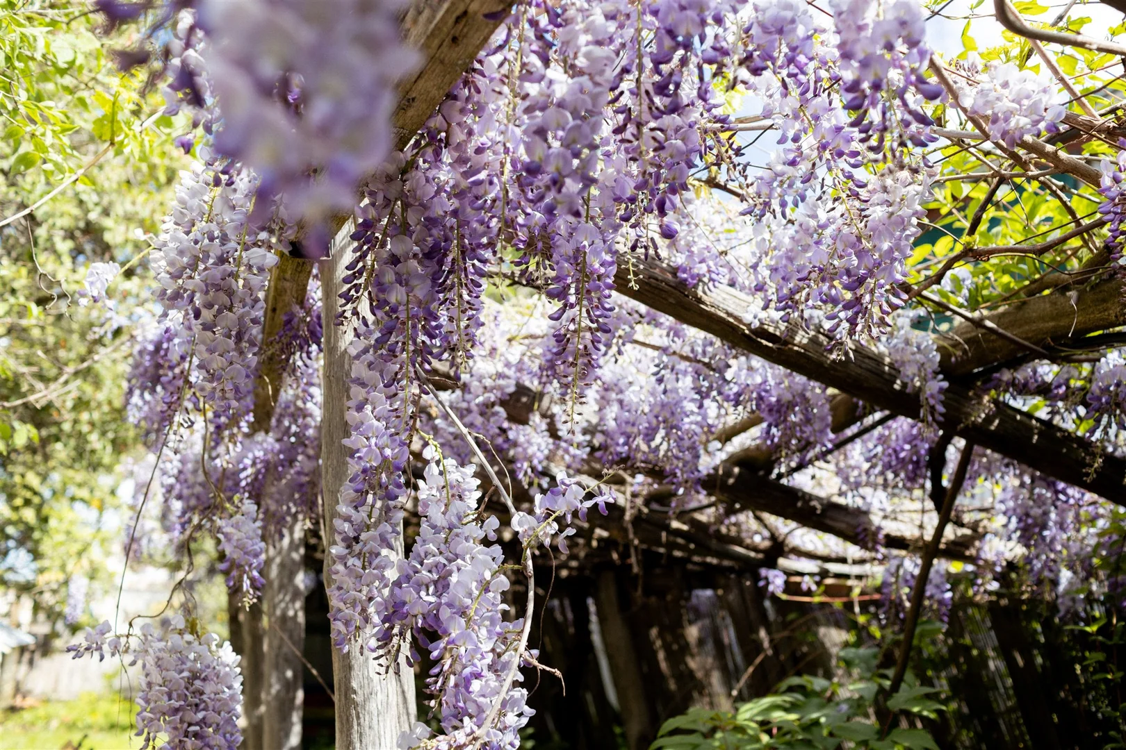 Additional image 15 of 9 Reef Street, Maldon VIC 3463