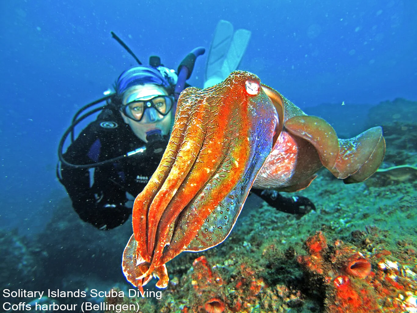 Additional image 37 of 259 Kalang Road, Bellingen NSW 2454