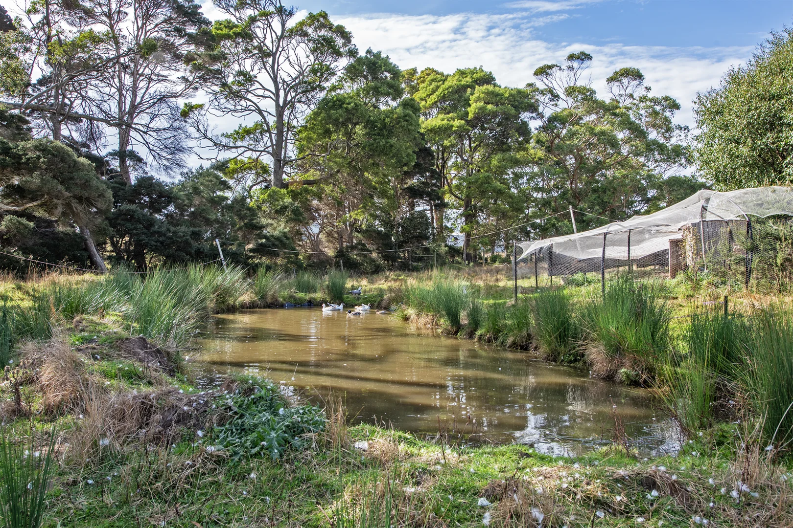 Additional image 4 of 211 Back Line Road, Forest TAS 7330