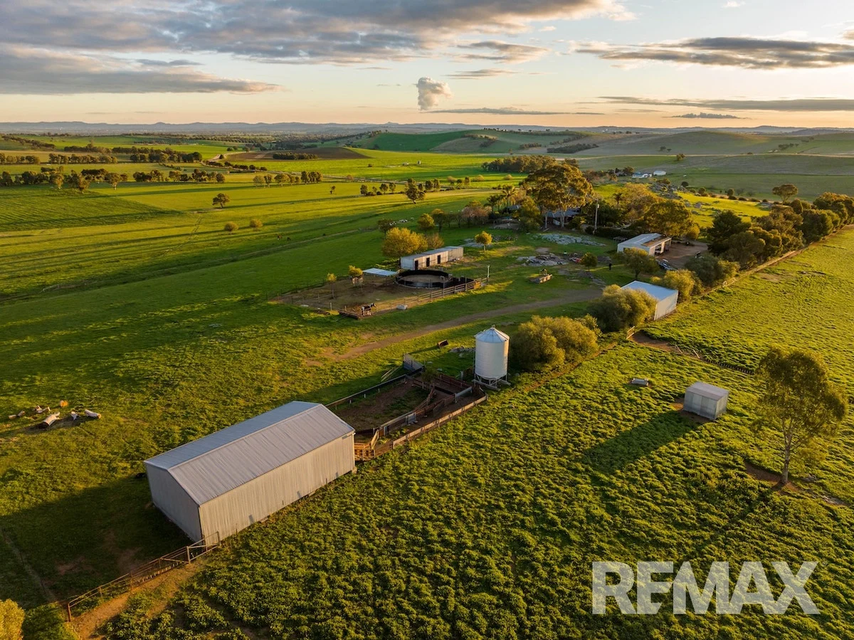 Additional image 24 of 880 Pattersons Road, Harefield NSW 2650