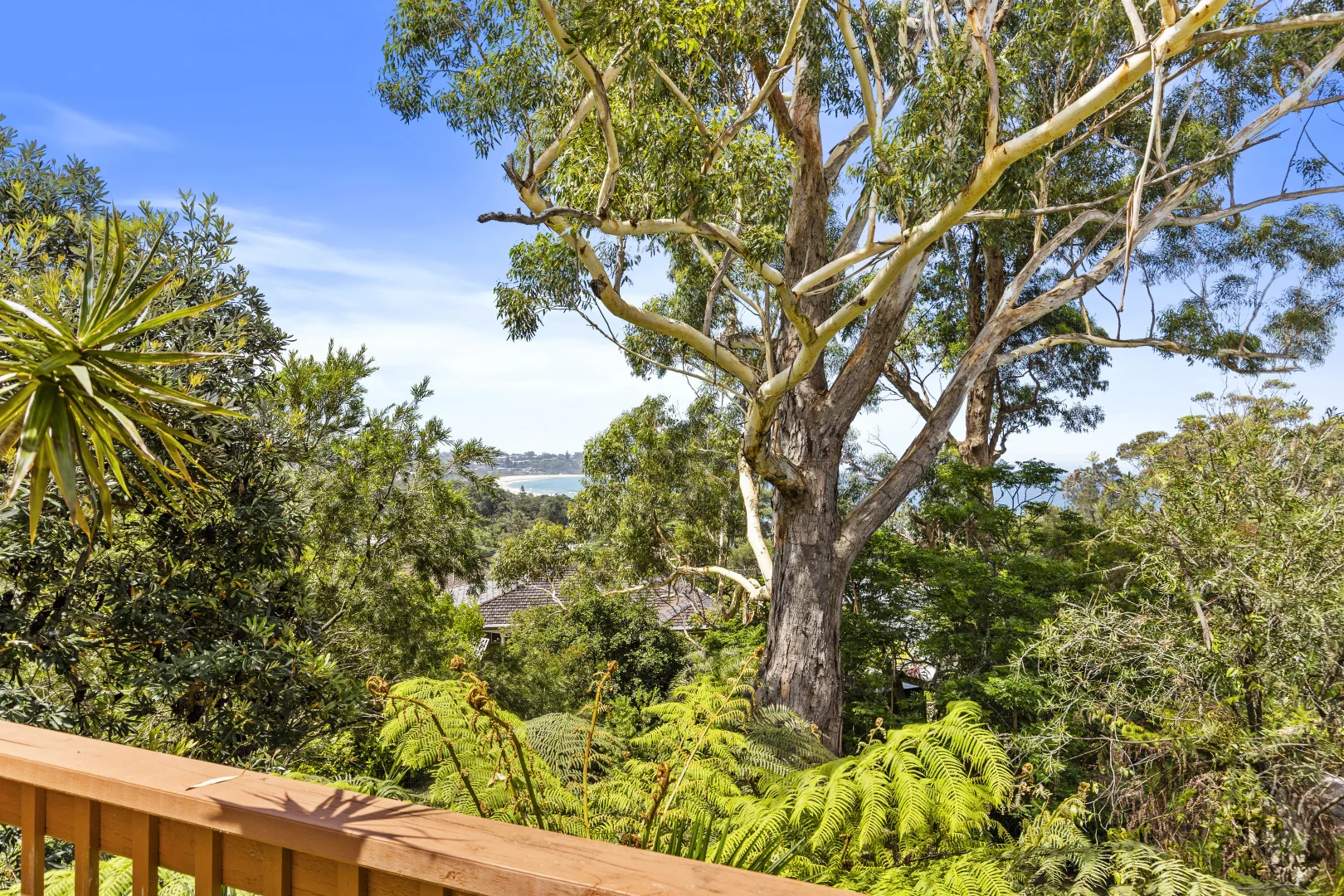 Additional image 13 of 56 Pengana Crescent, Mollymook NSW 2539