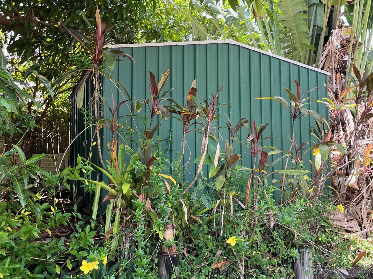 Additional image 11 of 26 Mornington Street, Kewarra Beach QLD 4879