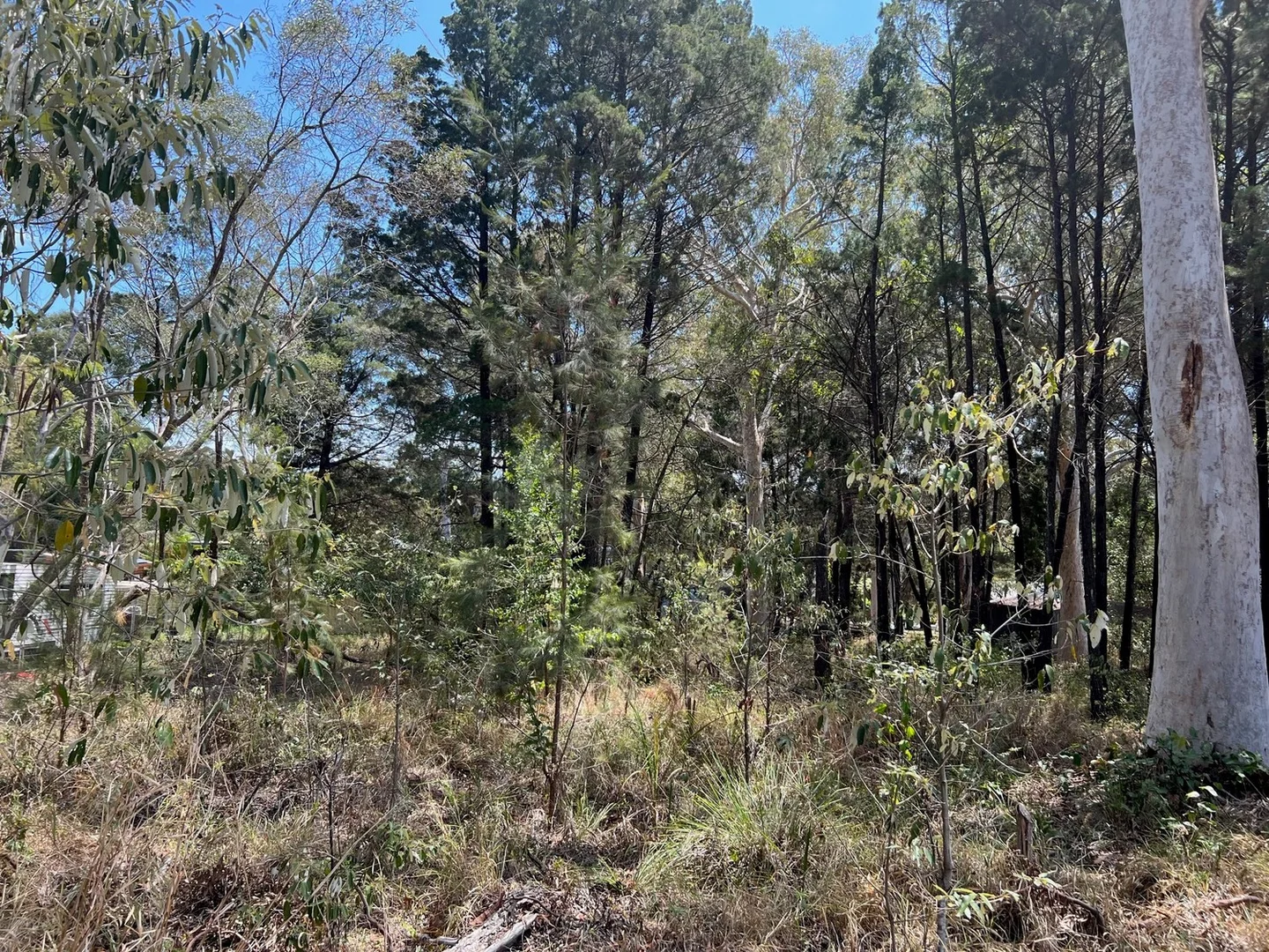 Additional image 2 of 59 Kate Street, Macleay Island QLD 4184