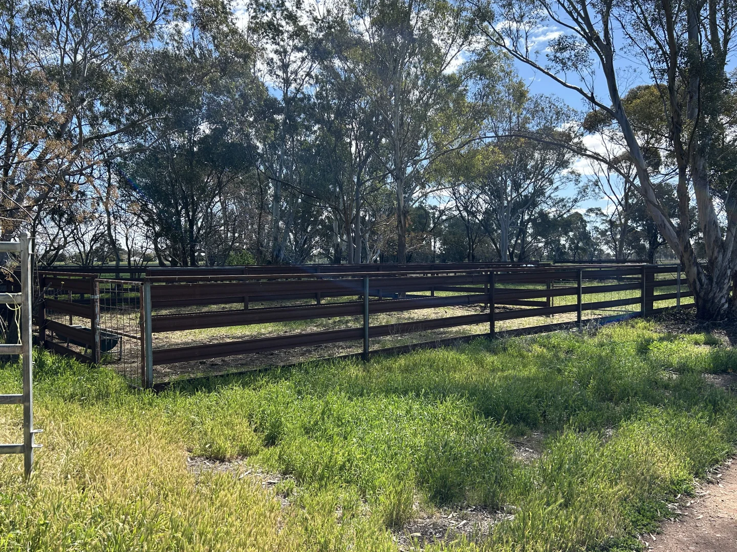 Additional image 13 of 119 Regulator Road, Yanco NSW 2703