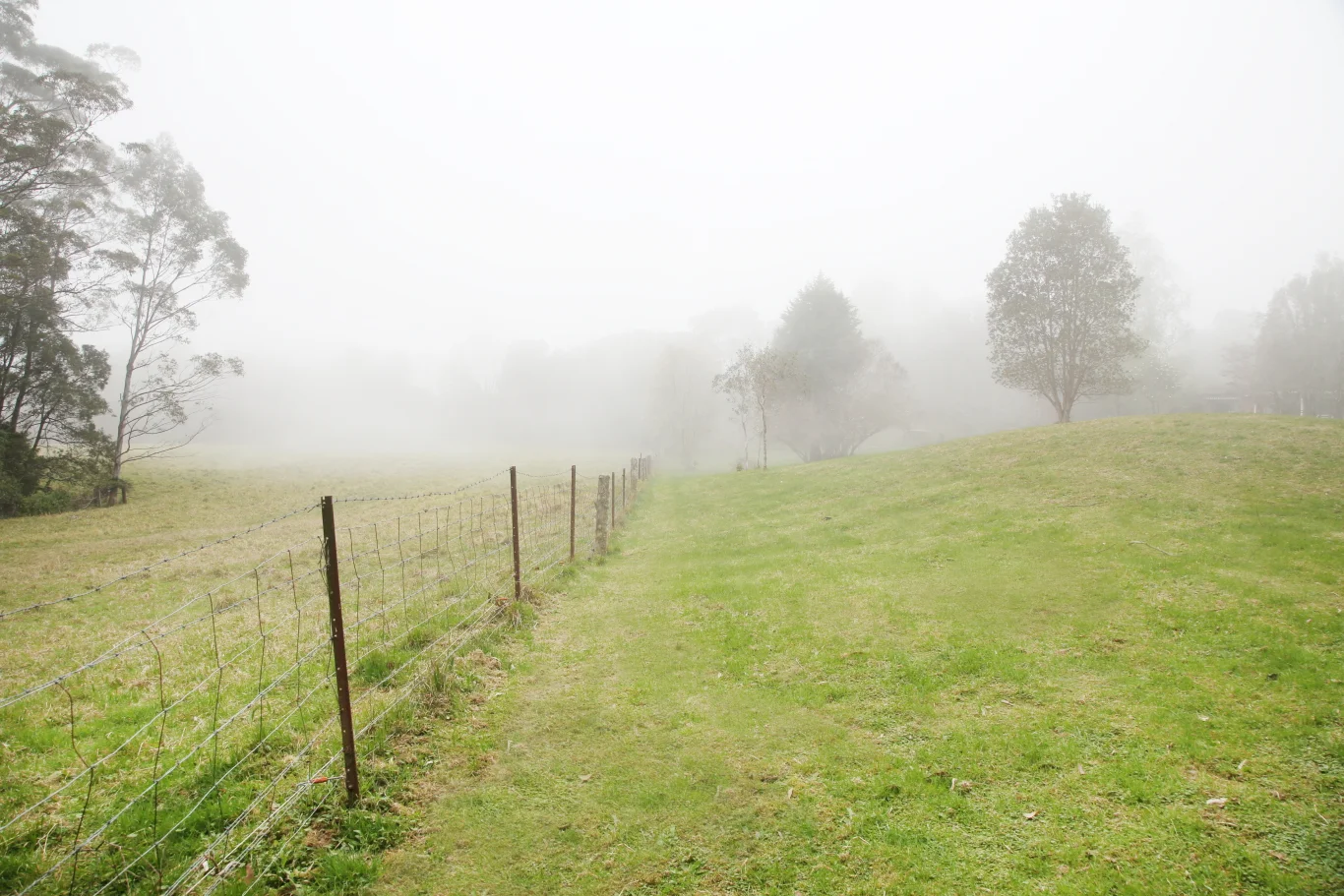 Additional image 34 of 499C Tourist Road, Bellawongarah NSW 2535