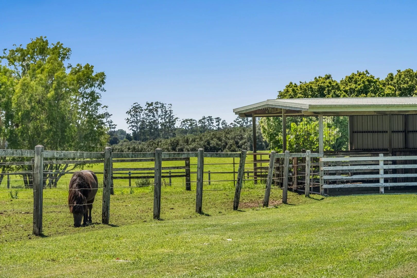 Additional image 19 of 836 Fernleigh Road, Brooklet NSW 2479