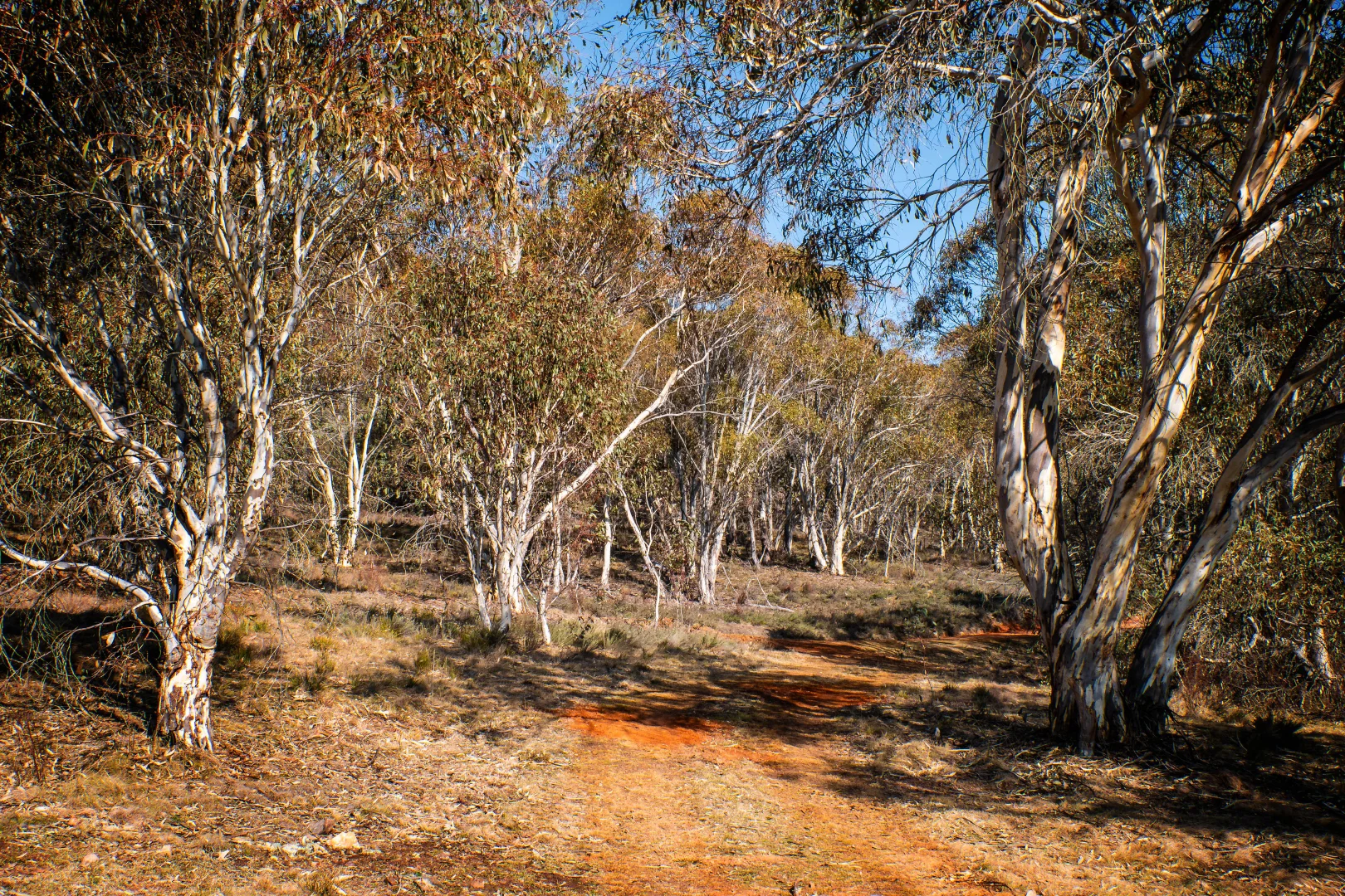 Additional image 14 of 42 Outpost Road, Yaouk NSW 2629