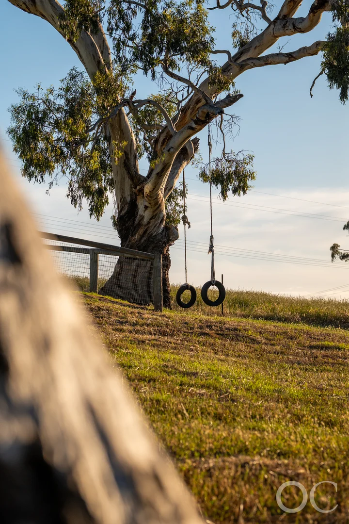 Additional image 45 of 111 Murdoch Hill Road, Woodside SA 5244