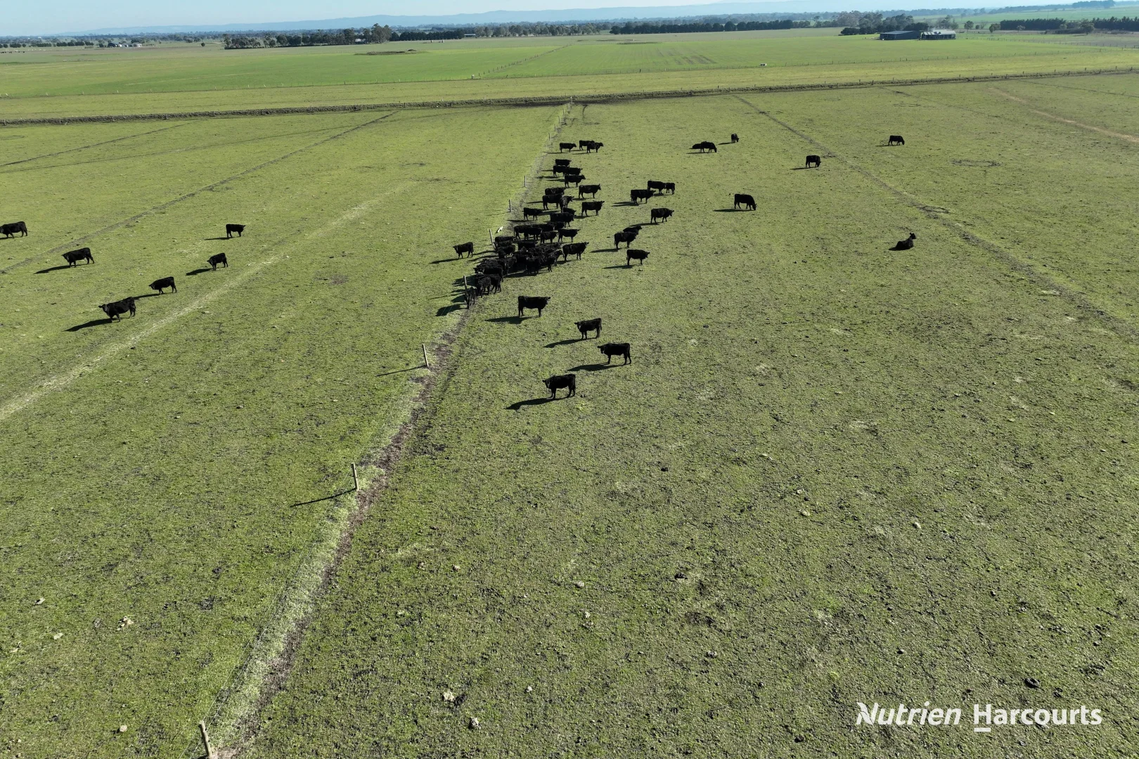 Additional image 15 of Part 371 Cairnbrook Road, Winnindoo VIC 3858