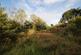 Additional image 4 of Teifi Valley, Close to Llandysul and Newcastle Emlyn