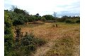Additional image 9 of 235 Nemeth, Crescent City, CA, 95531