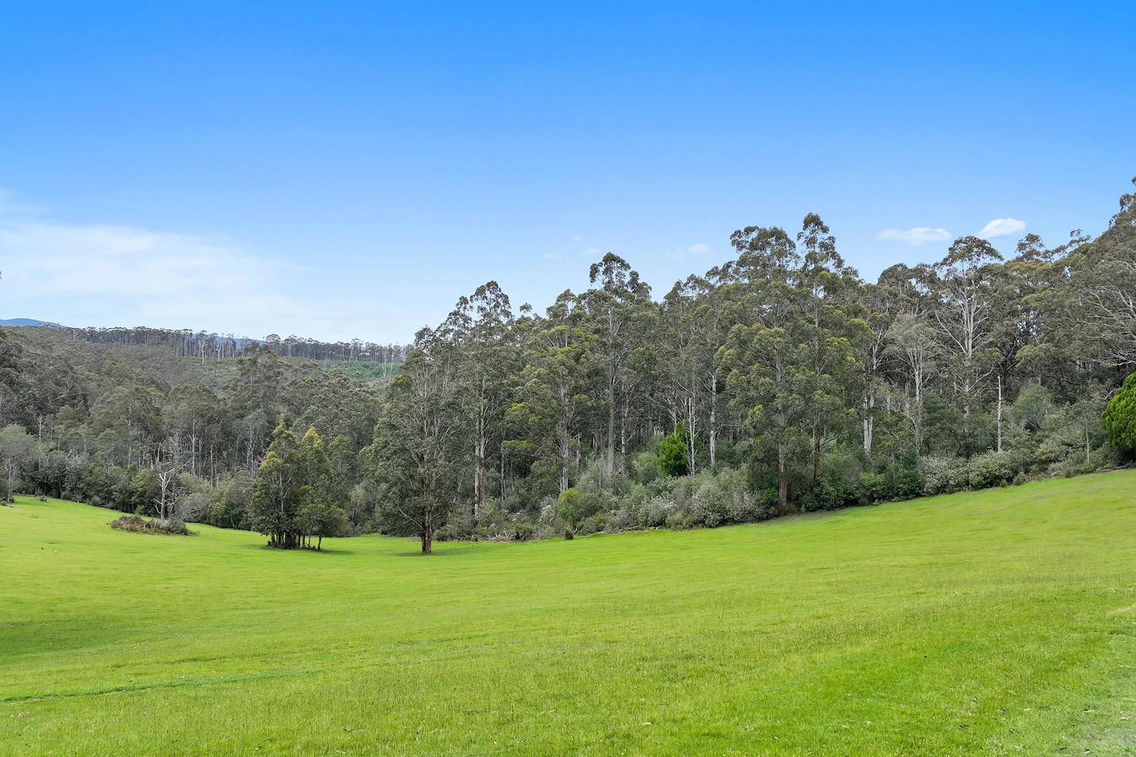 Additional image 11 of 11/2260 Mt Baw Baw Tourist Road, Icy Creek VIC 3833